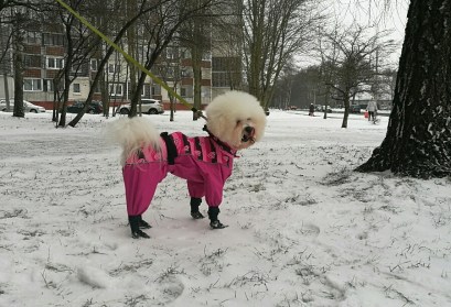 Ekskluzīvs suņu apģērbs - lietusmētelis,kombinezons ar zābakiem, M